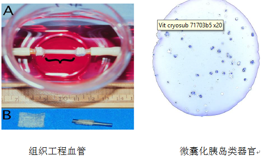 TIM截圖20180716094402